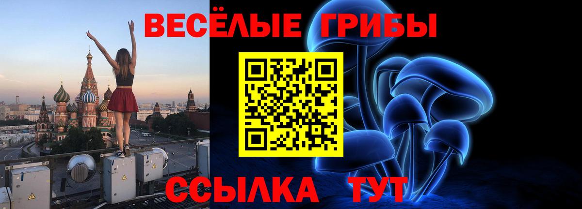 Галлюциногенные грибы Magic Shrooms Михайловск